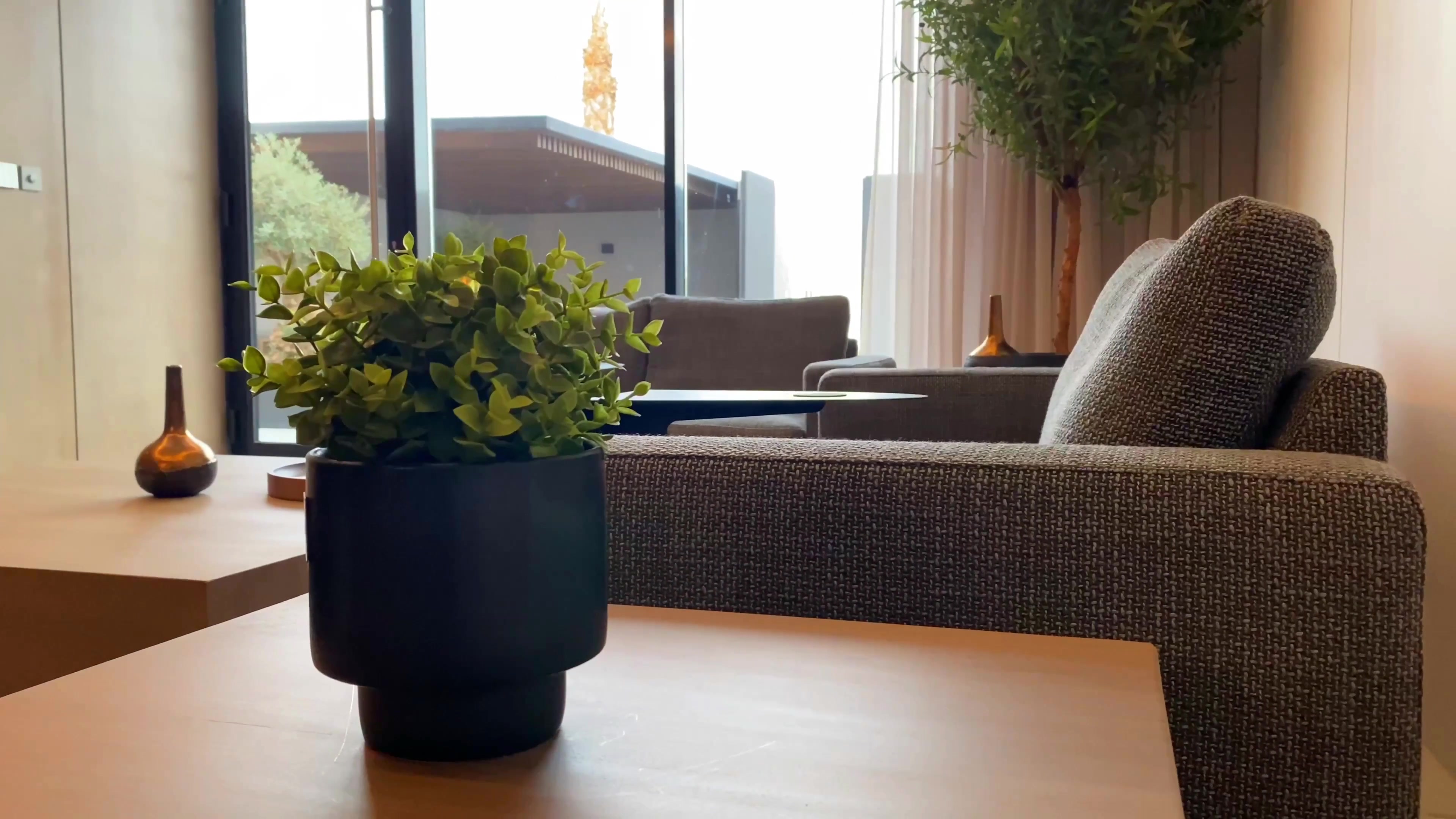 Macetas que transforman tu casa